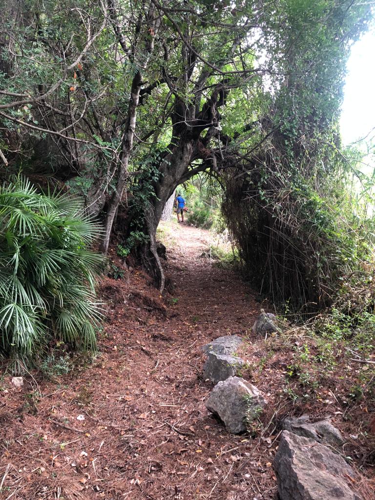 📢 Senderes a punt!!
Encara no t'has inscrit??

inscripcio.feec.cat/inscripcion/xi…

<a href="/FEEC_cat/">FEEC</a>