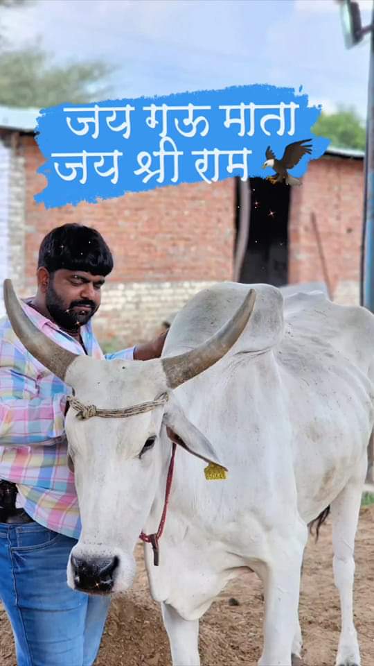 gau_mata_seva's tweet image. राजस्थान पुलिस ने फर्जी हत्या का मामला दर्ज किया है और  मोनू भाई निर्दोष है और दोषी साबित नहीं हुआ है और सत्य कभी पराजित नहीं होगा हम तन मन धन से भाई के साथ है 
#isupportmonumanesar