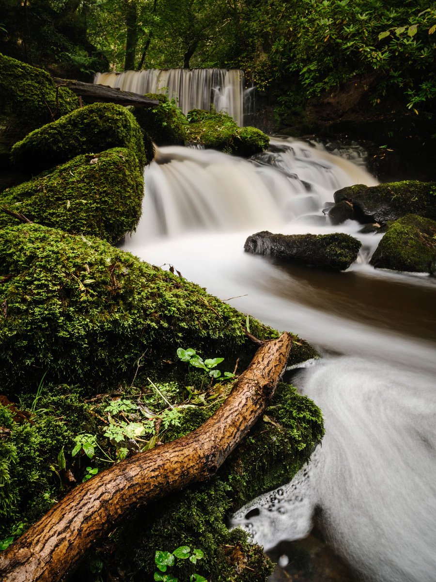 Full Flow

After a few days of heavy rain last week, a break in the weather afforded me the chance to find these falls on Anglesey, and they were definitely worth the muddy scramble!

#fsprintmonday #wexmondays #sharemondays2023