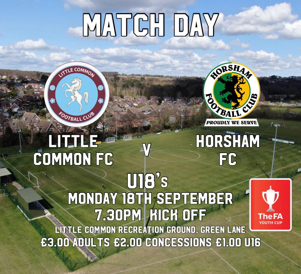 littlecommonfc's tweet image. 