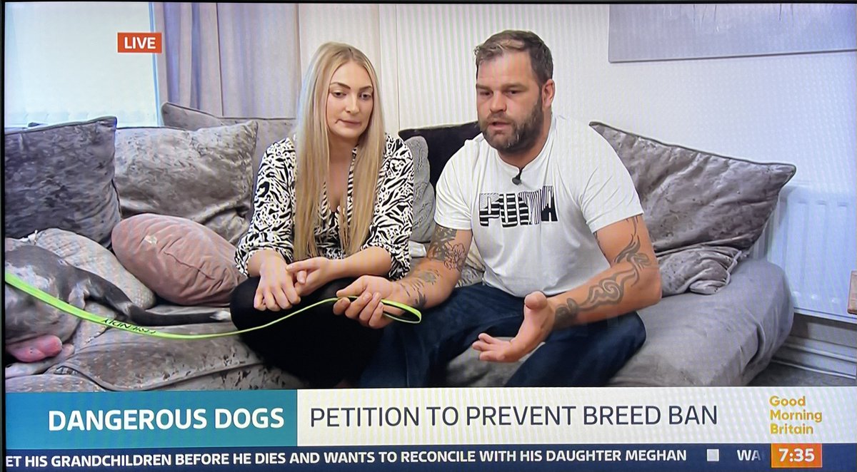 healeydave's tweet photo. @gmb The problem with live tv is you can't account for unfortunate product placement. https://t.co/AGqPgl5gYs