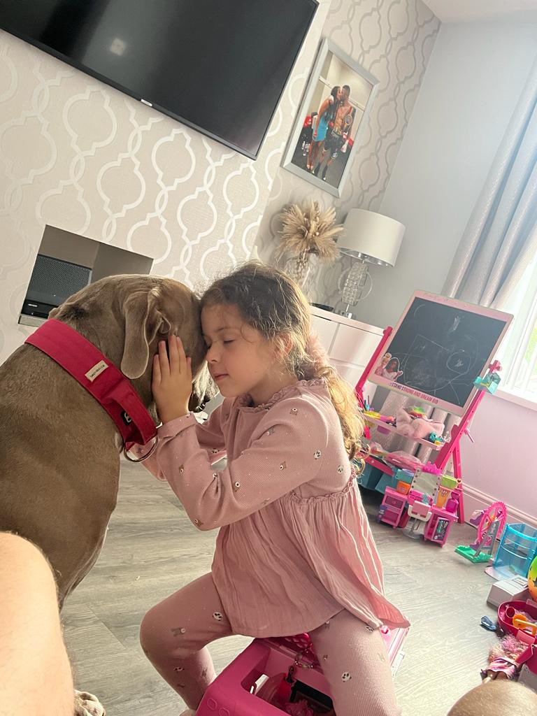 Markheffron91's tweet photo. My beautiful little girl and my boy Tyson not a bad bone in his body he’s a gentle giant. It’s not the dog it’s the owner. 👑❤️
“I sit for you, will you stand for me?” 🫵🏻

#xlbully #xlbullies #ukgoverment #ukgov @RishiSunak https://t.co/kHIS6ZOsWK