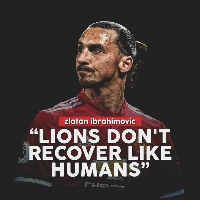 Zlatan Ibrahimovic Has The Best Quotes 😂 1) “Lions don’t recover like humans.” (2017)