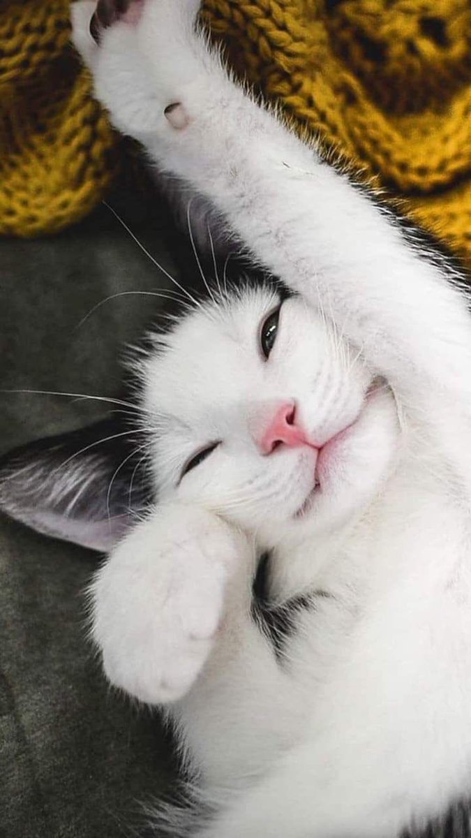 DnhSystem's tweet image. Günaydın Türkiye