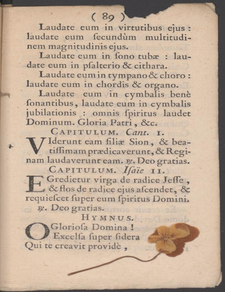 DebrayEve's tweet photo. En ce #LundiFleuri, #Tolosana,la bibliothèque numérique patrimoniale des universités toulousaines, vous propose de découvrir un ouvrage où l'on retrouve plusieurs fleurs séchées entre les pages : https://t.co/znIYEXNl9h
#LivreAncien #Patrimoine #BibNum #Toulouse #LundiMotivation https://t.co/uHc7sCJmhb