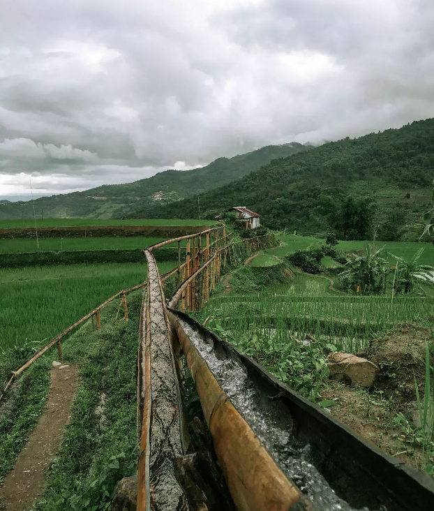 Bamboo Drip Irrigation System

A bamboo drip irrigation supplies water from the river bed to the other side of the paddy field.

#FOCUSNagaland #Nagaland #agri 

<a href="/AgriGoI/">Agriculture INDIA</a> <a href="/ShobhaBJP/">Shobha Karandlaje</a> <a href="/AlongImna/">Temjen Imna Along</a>