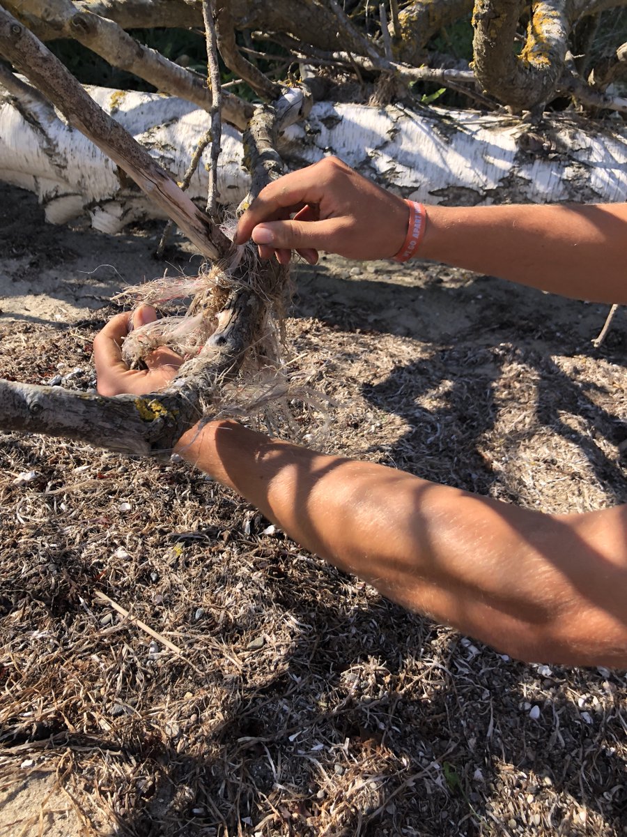 succow_stiftung's tweet photo. 🌊🧹Die Umweltschutzorganisation @OurOcean rief am Samstag zum #InternationalCoastalCleanupDay auf. Auch unsere #Bundesfreiwilligen haben auf der #InselKoos mit angepackt und den Strand der Ostküste vom #Müll befreit.
#Naturschutz https://t.co/MGE0ngXfkK