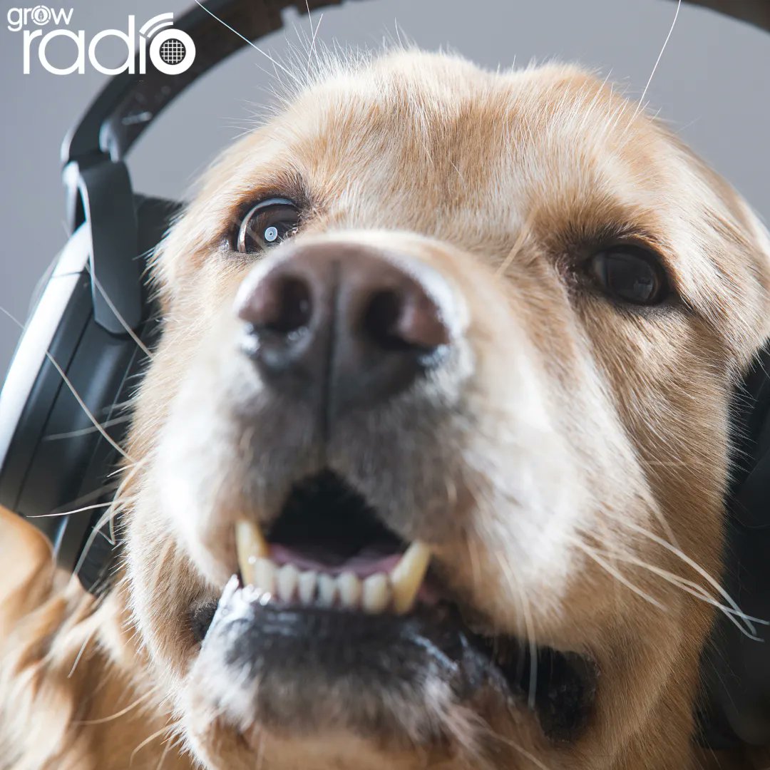 Tune in to GROW Radio TODAY!

As well as featuring a different podcast on the hour, every hour… we will be playing a mix of ambient, acoustic and chilled music between the shows.

#GROWRadio #Podcasts #podcast #radiostation