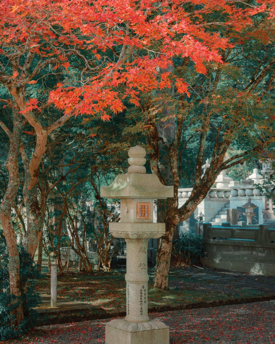 StudioShuko tweet media