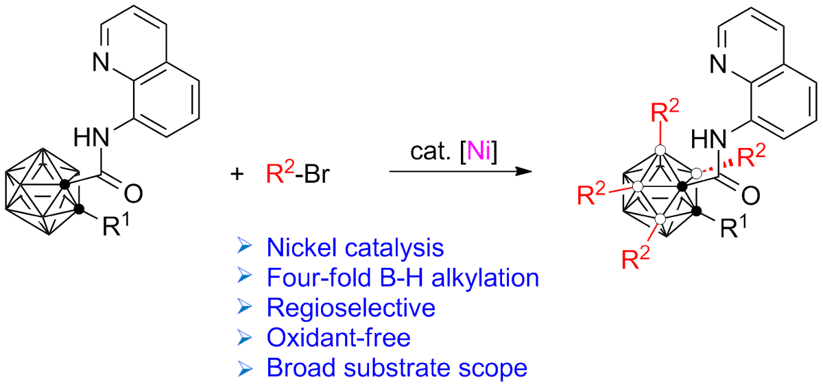 sciengine.com/SCC/doi/10.100…
Prof. Zuo-Wei Xie et al. reported  a highly efficient 8-aminoquinoline-assisted nickel-catalyzed regioselective cage B(3,4,5,6)-H tetra-alkylation of o-carboranes.
 #synthesis #organicsynthesis