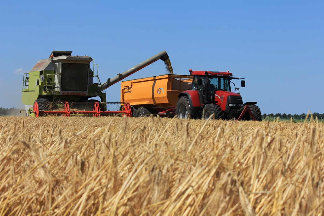 Wintergerst zaaien: Dit is de optimale zaaiperiode lgseeds.nl/news/post/dit-… #akker #oogst2024 #gerst