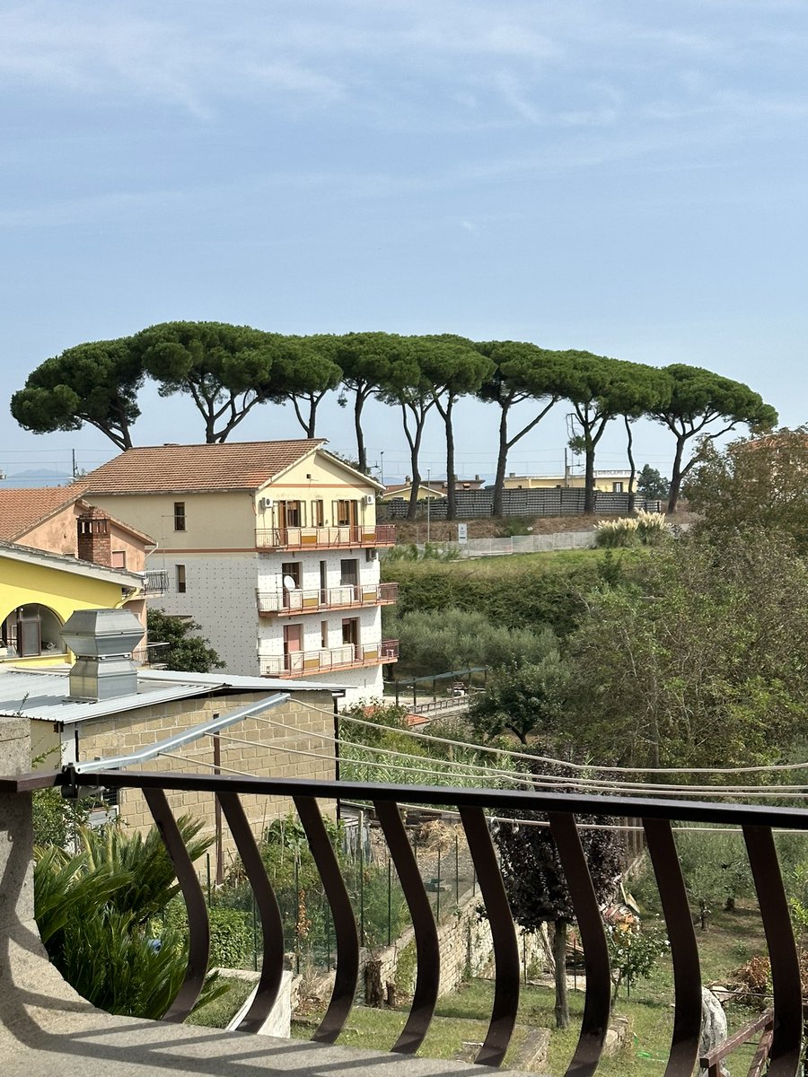 joevollarolufc's tweet photo. @mimmsy_mimz Lovely this morning in Rome! https://t.co/lMzncKWW4J