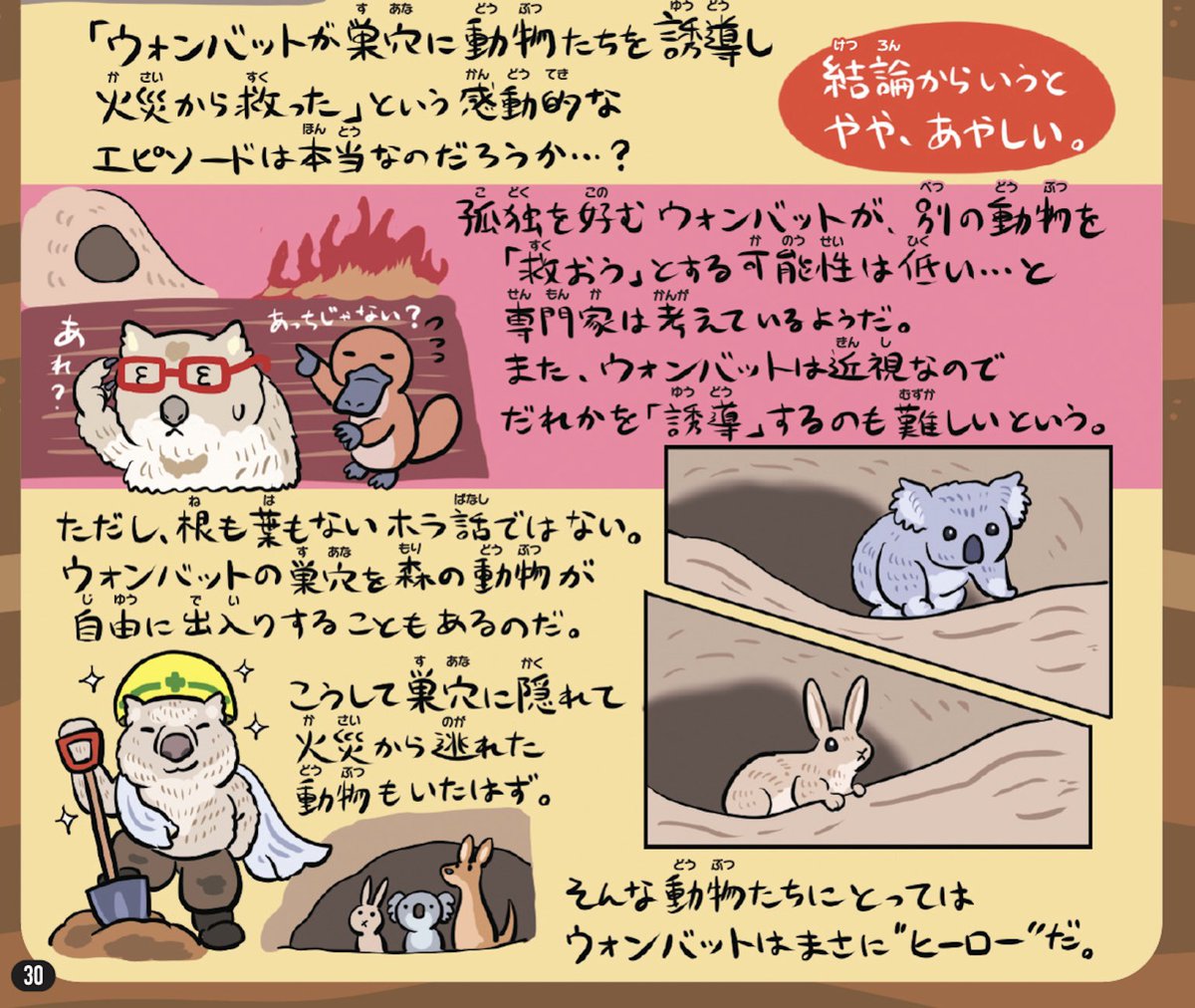 ウォンバット、急速に高まる人気の反動なのか、都市伝説的な怪しい情報の対象になりがちらしい(人間に撫でられないと鬱になる、とか)。そういえば『ゆかいないきもの超図鑑』でもウォンバットの噂を検証したな。 