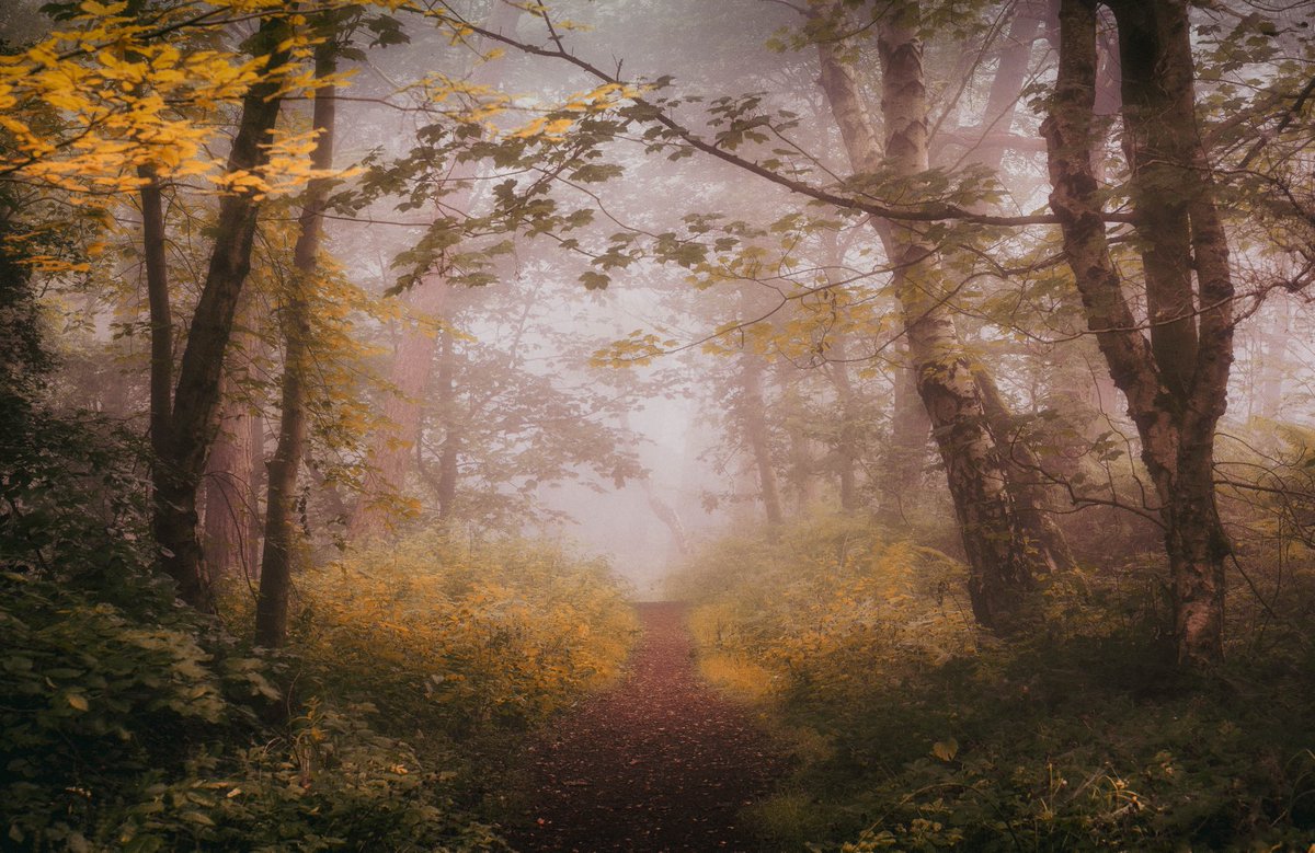 AndyGrayPhoto's tweet image. Seasonal transition #wexmondays #appicoftheweek #fotospeed #peakdistrict #photooftheday