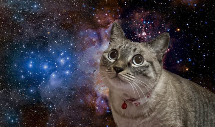 さたけ☽☽🩸 tweet media