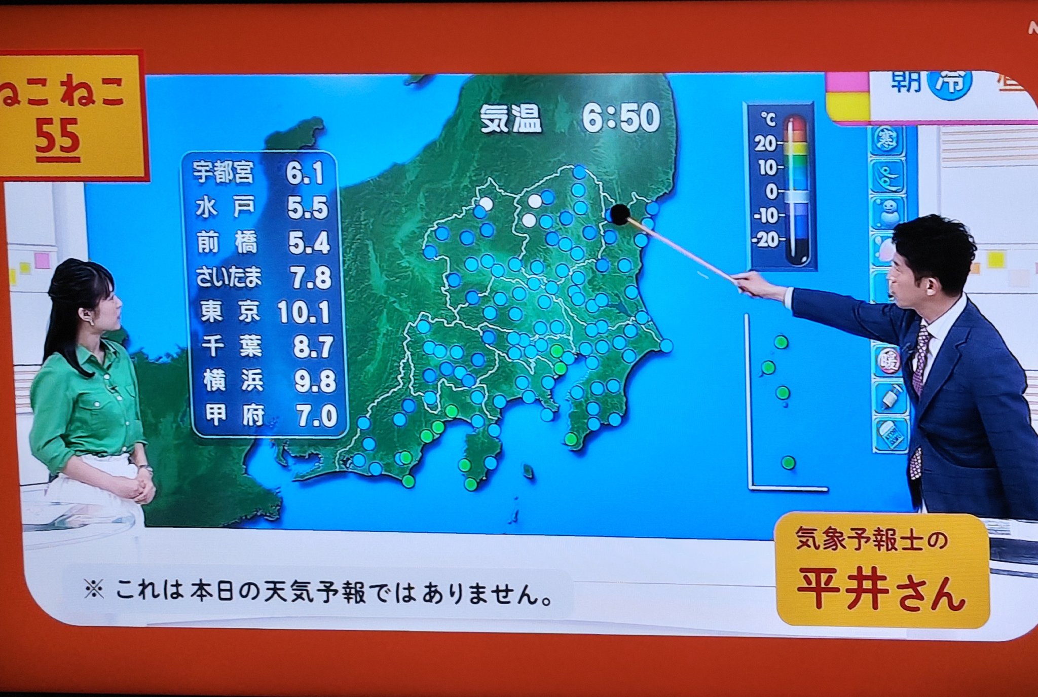ねこねこ55 ねこねこ55 | ごがつにっき