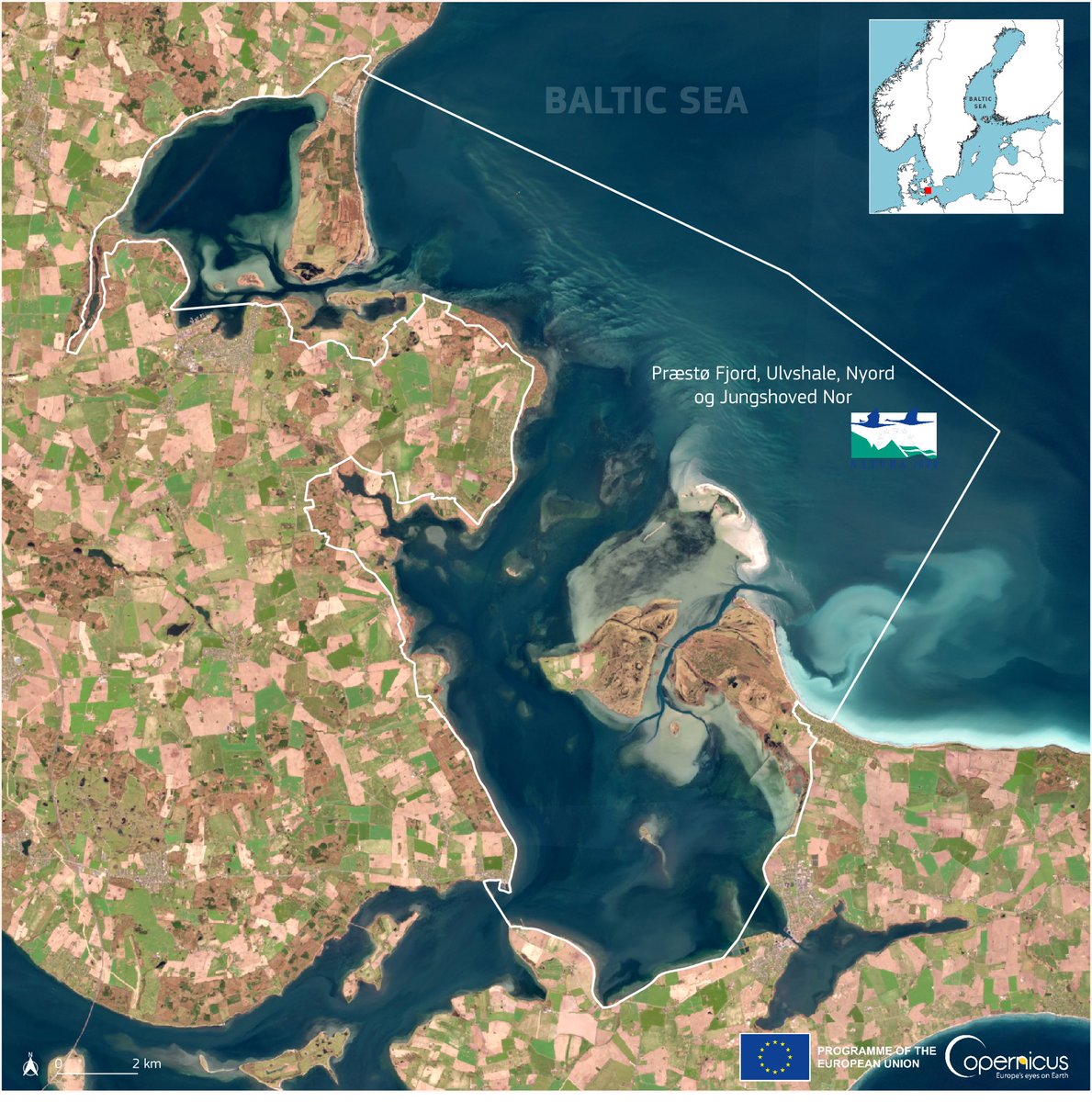 The Baltic Sea 🌊 is home to magnificent biodiversity. Can you guess how many bird 🦢species live in this #Nature2000 site in Præstø Fjord in Denmark 🇩🇰 ? 26! On September 29 we join forces for #OurBaltic & all its precious ecosystems! oceans-and-fisheries.ec.europa.eu/our-baltic-con… #EUGreenDeal