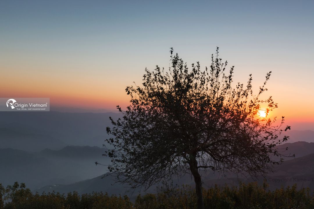 Originvietnam's tweet photo. Unveil the serenity of Ta Xua, a hidden gem nestled in the heart of Northern Vietnam. 🏞️ With its lush landscapes, rolling hills, and awe-inspiring beauty, Ta Xua promises an unforgettable escape.
#TaXua #HiddenParadise #ExploreVietnam #OriginTravel https://t.co/QZpr96gWFW