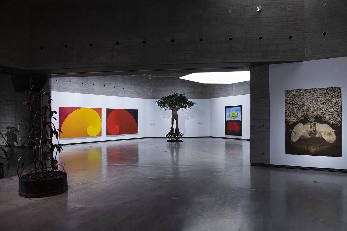 ⌛ Esta es la última semana para visitar en el #C3A la #exposicion “Sombra verde. Federico Guzmán y la carrera de las plantas” que finaliza el próximo domingo 24 de septiembre.   

📷 Rafael Carmona   

ℹ tinyurl.com/2xp6ftyu