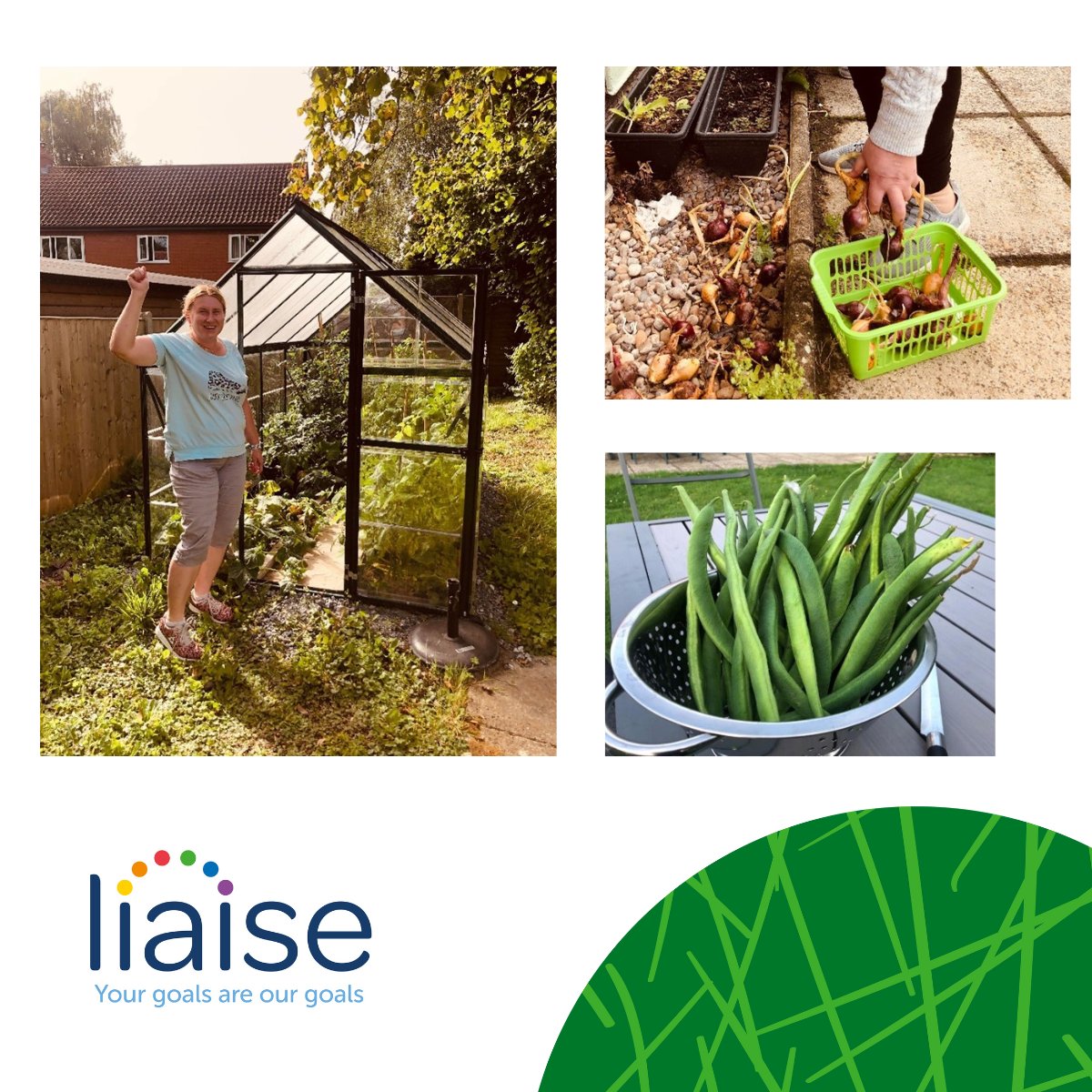 The team at Salcasa in Norfolk have created a greenhouse!  Everyone has been involved, from buying seeds, to planting and cultivating, eventually picking and enjoying tomatoes, pumpkins, courgettes, green beans, cucumbers, and strawberries. 

#socialcare #gardening #greenfingers