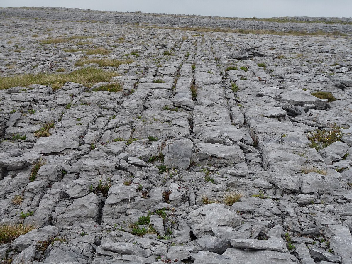 Burren, región de caliza carbonífera tabular situada al oeste de #Irlanda 🇮🇪. En esta meseta se ha desarrollado un #karst que forma un magnífico lapiaz #geología #geology 📷⤵️michael clarke stuff commons.wikimedia.org/w/index.php?cu…