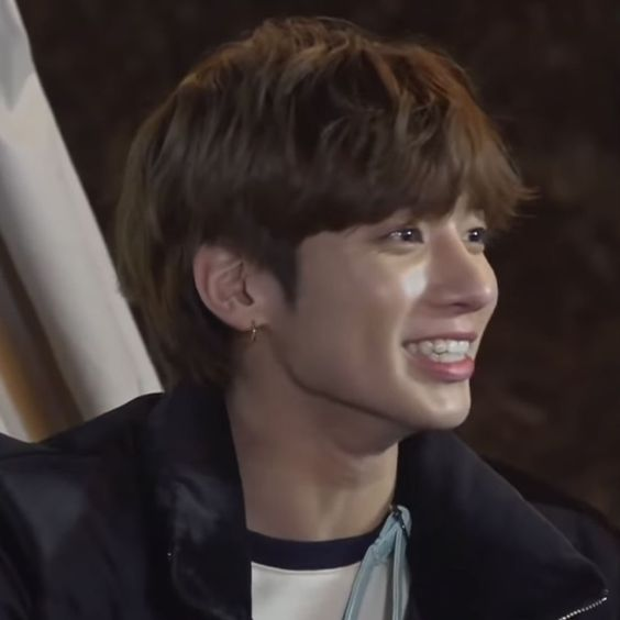 🥊🐈 tweet media