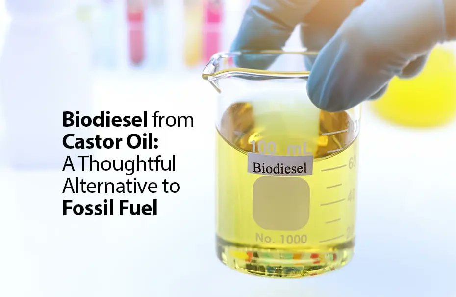 DaddyS58781's tweet photo. In nut-shell:

Bio Diesel is environmental friendly and ideal for heavily polluted cities.

Bio Diesel is as biodegradable as salt

Bio Diesel produces 80% less carbon dioxide and 100% less sulfur dioxide emissions. It provides a 90% reduction in cancer risk.

@OnyedikaAgbo https://t.co/fpNFA6F59R