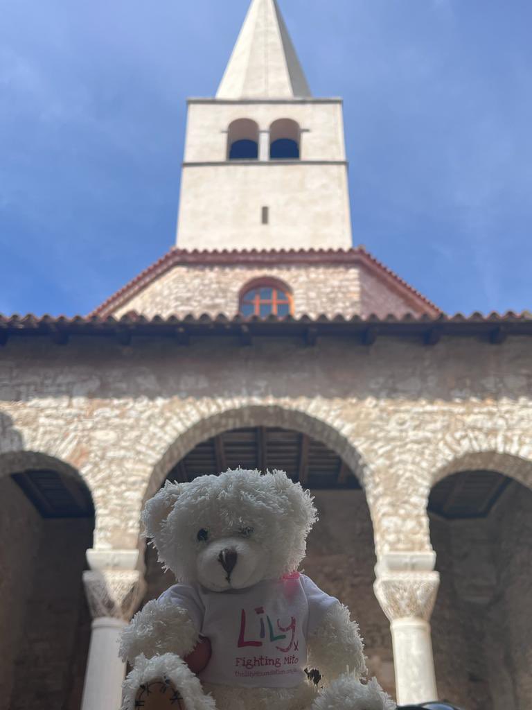 cam_mito's tweet photo. Our @4Lilyfoundation #shareabear Spotty has been busy raising #mito awareness…in Croatia! This is Spotty in Porec… @MYTiet @HorvathLab @Jellevda https://t.co/FUoI5KPzY6