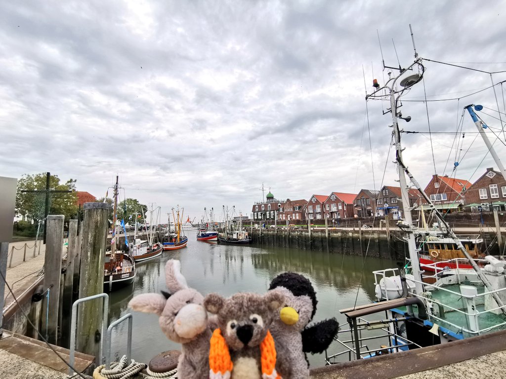 Guten Morgen aus Neuharlingersiel 😍
Hier war ich schon mal 🤔

Da hinten fährt gleich unser Schiff ab und Konrad hat sich schon einmal die Warnweste angezogen...

🐻: DAHINTEN IST DAS MEEH!!!