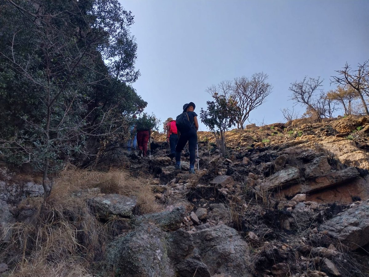 Kusudi_la's tweet photo. Thank you for taking part in our Kumbagana hike.
We look forward to more hikes with you!
Join our Adventure club for R250 for the rest of the year
https://t.co/SgFTYrRXKO
.
.
.
#kusudila #kumbaganagamedrive #hike #hikingadventures #PurposefulAdventure #animals #wellness #nature https://t.co/1k5QN86U4F
