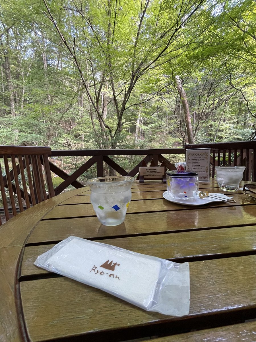 shuzokun's tweet photo. まったり。
#Ryoan #呂久沢の森 #了庵 https://t.co/aqmpaEdspF