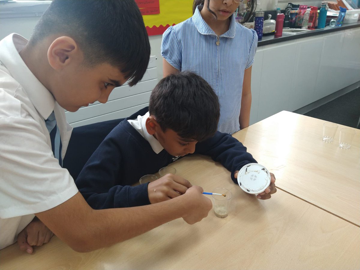 Smithdown PrimaryY5 tweet media