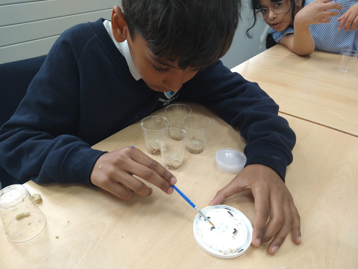 Smithdown PrimaryY5 tweet media