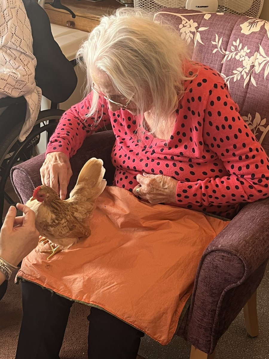 BethuneCourt's tweet image. Thank you to PetPals Therapy for a lovely afternoon @AnchorLaterLife #pettherapy #bunny #chickens #MondayMood