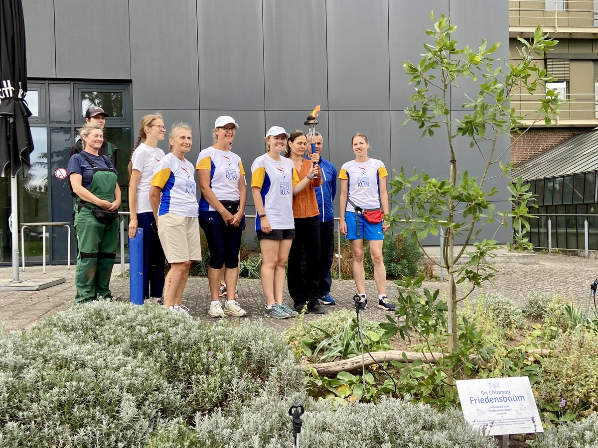 Botanischer Garten Hamburg tweet media