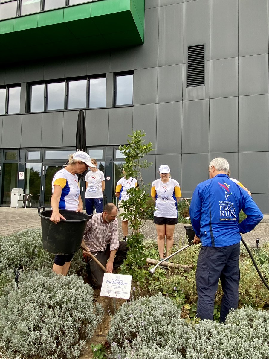 Botanischer Garten Hamburg tweet media