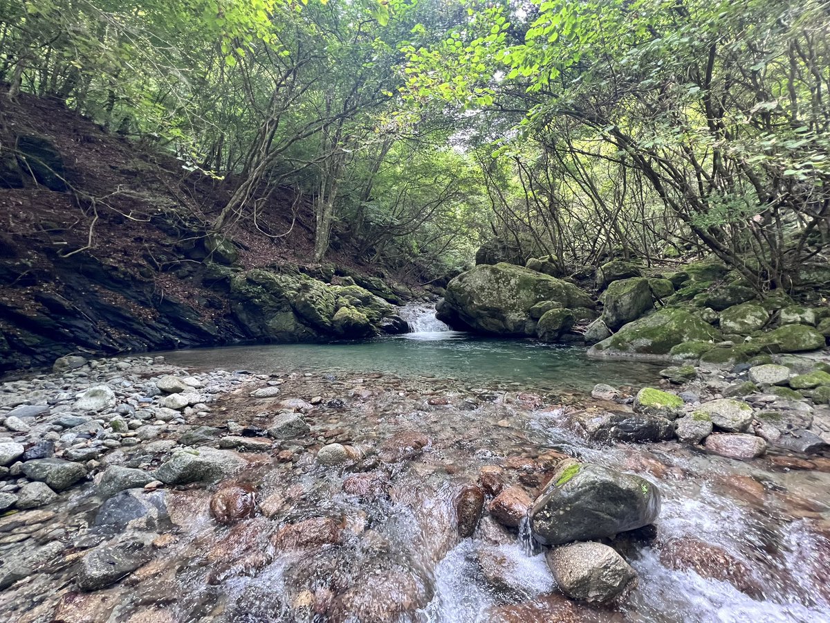 beruazuki's tweet photo. 釣りの休憩中なんとなく振り返ったら15メートルくらい先、黒い動物2匹歩いてて犬かな？って思ったら熊の親子でマジで死を覚悟した笑　気づかれてはいなかったみたい。いるのは知ってても本当に会うとは思わんもんなーみんな山行く時は気をつけて笑　ちなみにびびり過ぎて余裕なくて写真はありません笑 https://t.co/XEHMOYU6SN