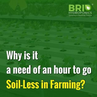 BrioHydroponics's tweet photo. 𝐇𝐲𝐝𝐫𝐨𝐩𝐨𝐧𝐢𝐜𝐬 is the future📈, and you have the opportunity of playing Big by investing in it💰📊. Invest today and Enjoy Tomorrow💸💸.

Why 𝐇𝐲𝐝𝐫𝐨𝐩𝐨𝐧𝐢𝐜𝐬 is the future:

👉Save Fuel, Save Environment
👉Assured food Quality
👉365 Days Natural Food https://t.co/6Yyr0mx1NH