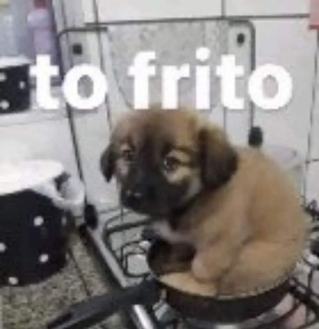 ferozdapv's tweet photo. muito se fala do ja pode almoçar mas.... ja pode jantar? https://t.co/veiSDfmZiE