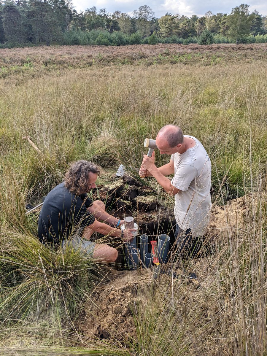 Edith J. S. Eder tweet media