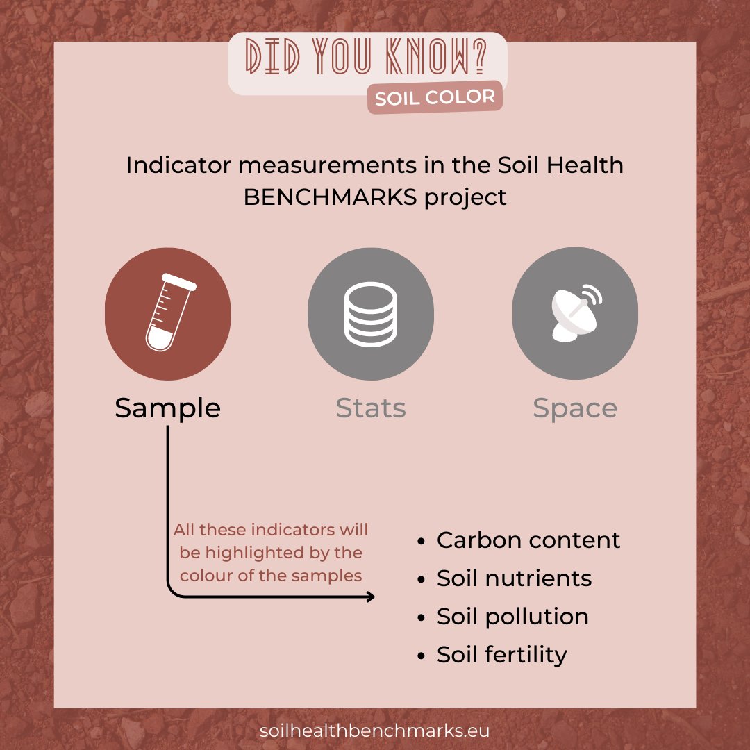 benchmarks_eu's tweet photo. 🤔 Do you know the importance of #soilcolor❔
🌱 To assess the quality and composition of soil, observing its color provides valuable information.
👉 Learn more about the the color palette 🎨 of the soil in this post!
#BENCHMARKS #SoilHealth https://t.co/kBXWhsqlmv