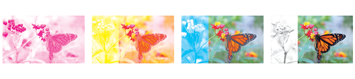 EmpirePrint's tweet photo. Empire has implemented a G7® compliant color management program throughout our entire production process, which allows for reliable color and consistent visual color match from proof to press, whether the product is screen, flexo, or digitally output. https://t.co/nB7JOU4S9z https://t.co/rzvk5ddfzT