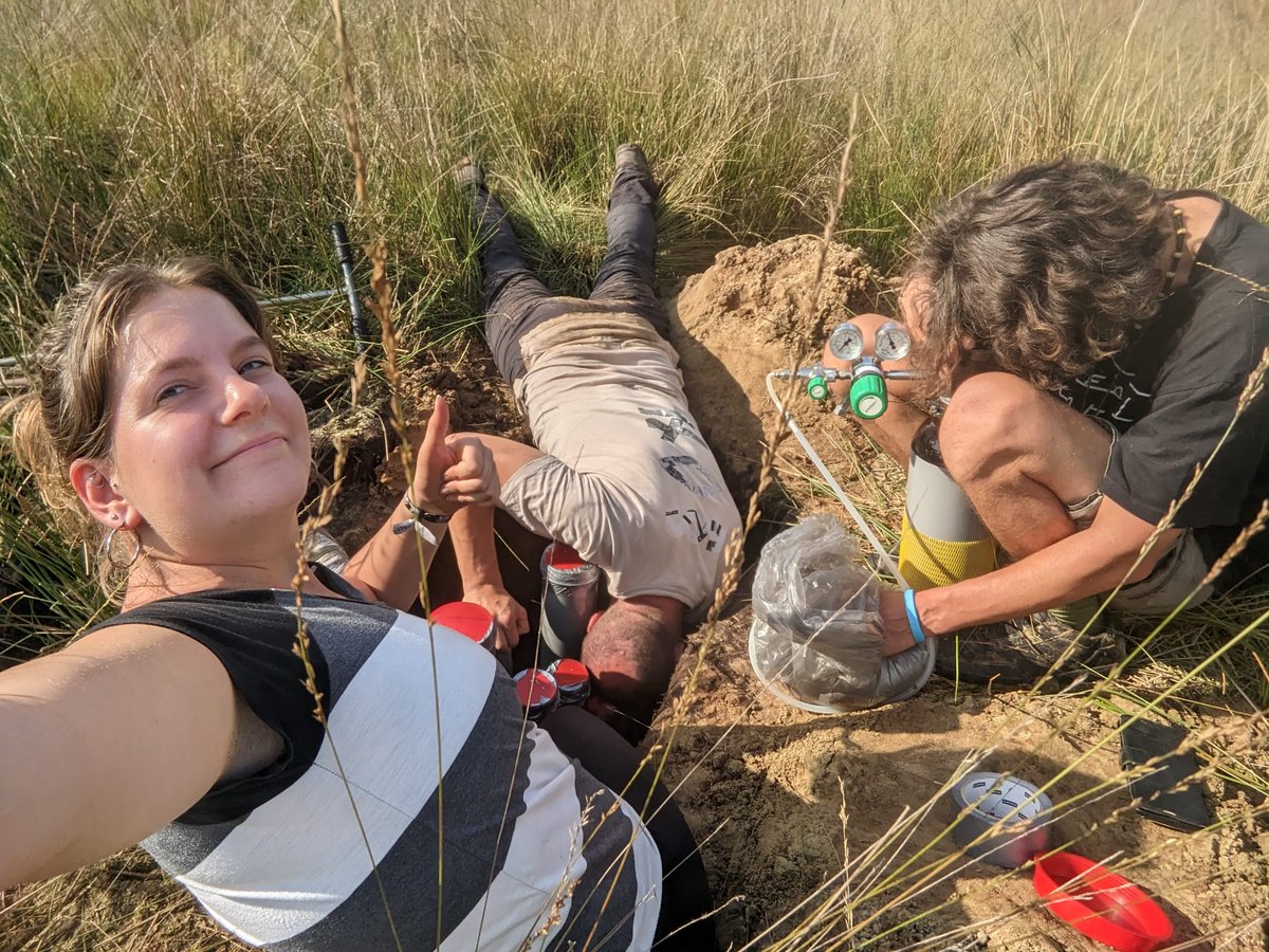 Edith J. S. Eder tweet media