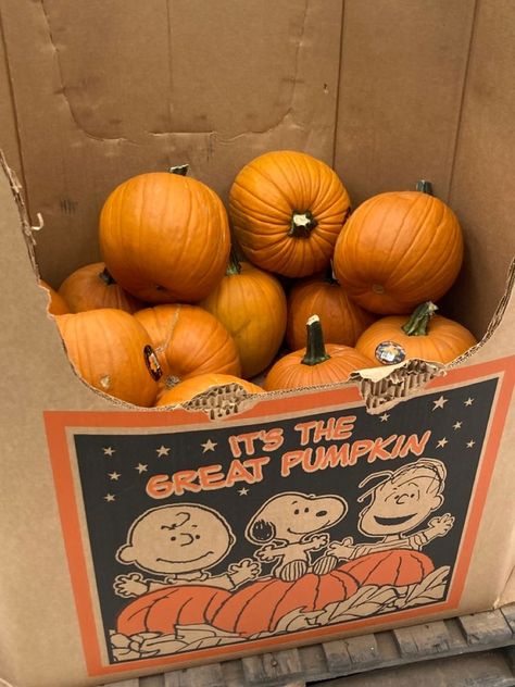 wellnessbabes's tweet photo. october 1st https://t.co/lNyljxn1Ed