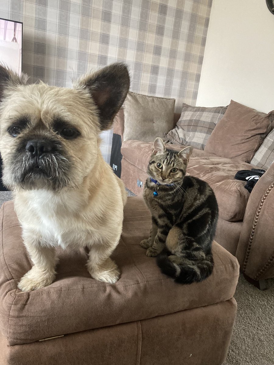 Paul Highton tweet media