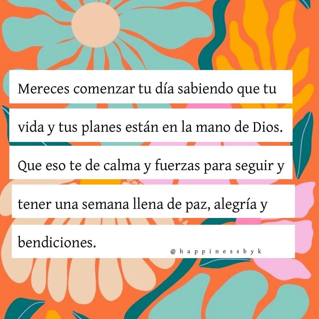 Tania Febres tweet media