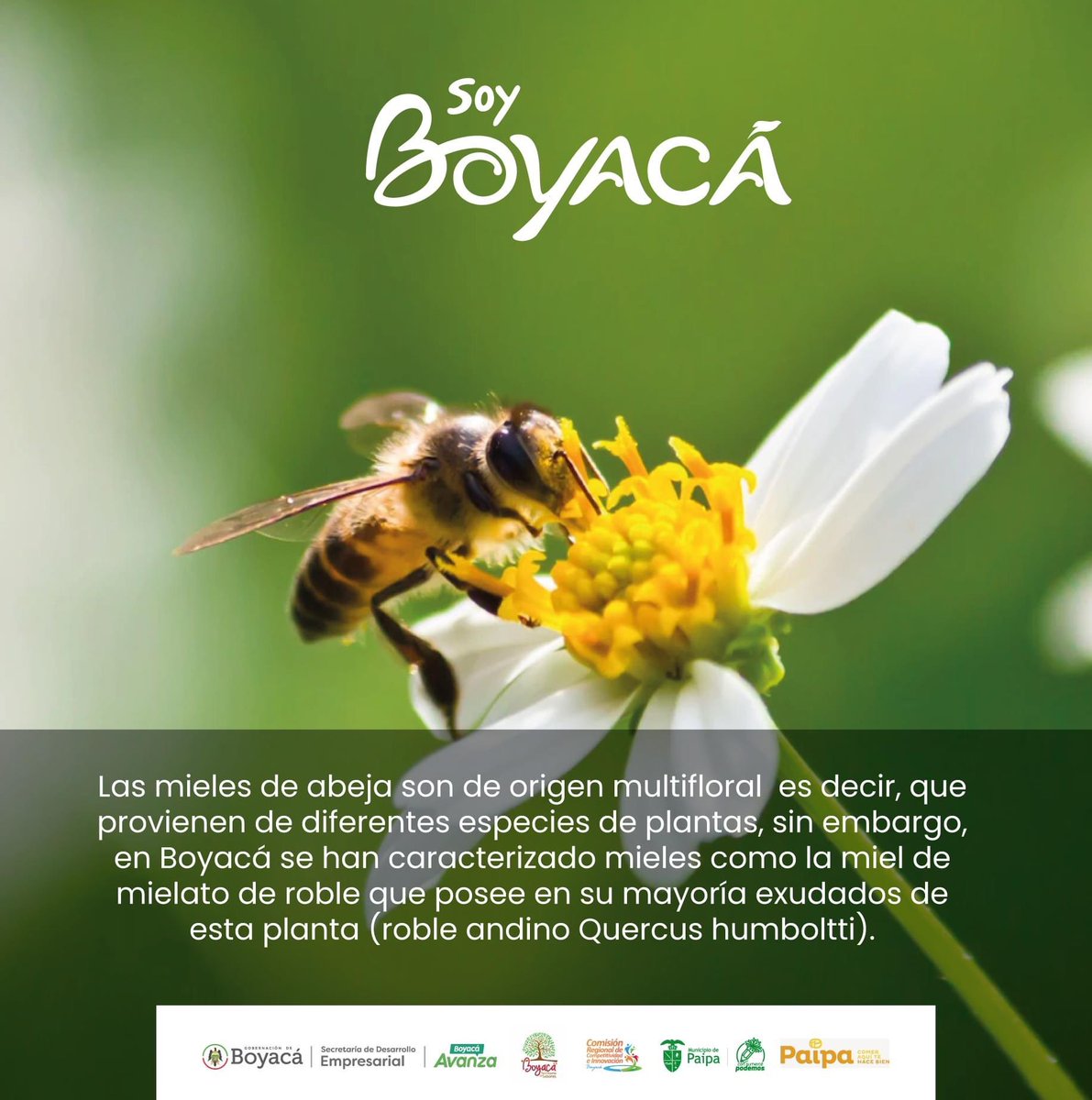 Secretaría de Desarrollo Empresarial de Boyacá tweet media