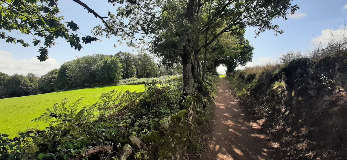 Pascalsano's tweet photo. Despite the rain also sunny moments in beautiful #Galicia. I'm running out of km's. Only 115 to go, so I enjoy every step on my #Camino #Caminodesantiago #Caminofrances https://t.co/mBB1GFUBAR