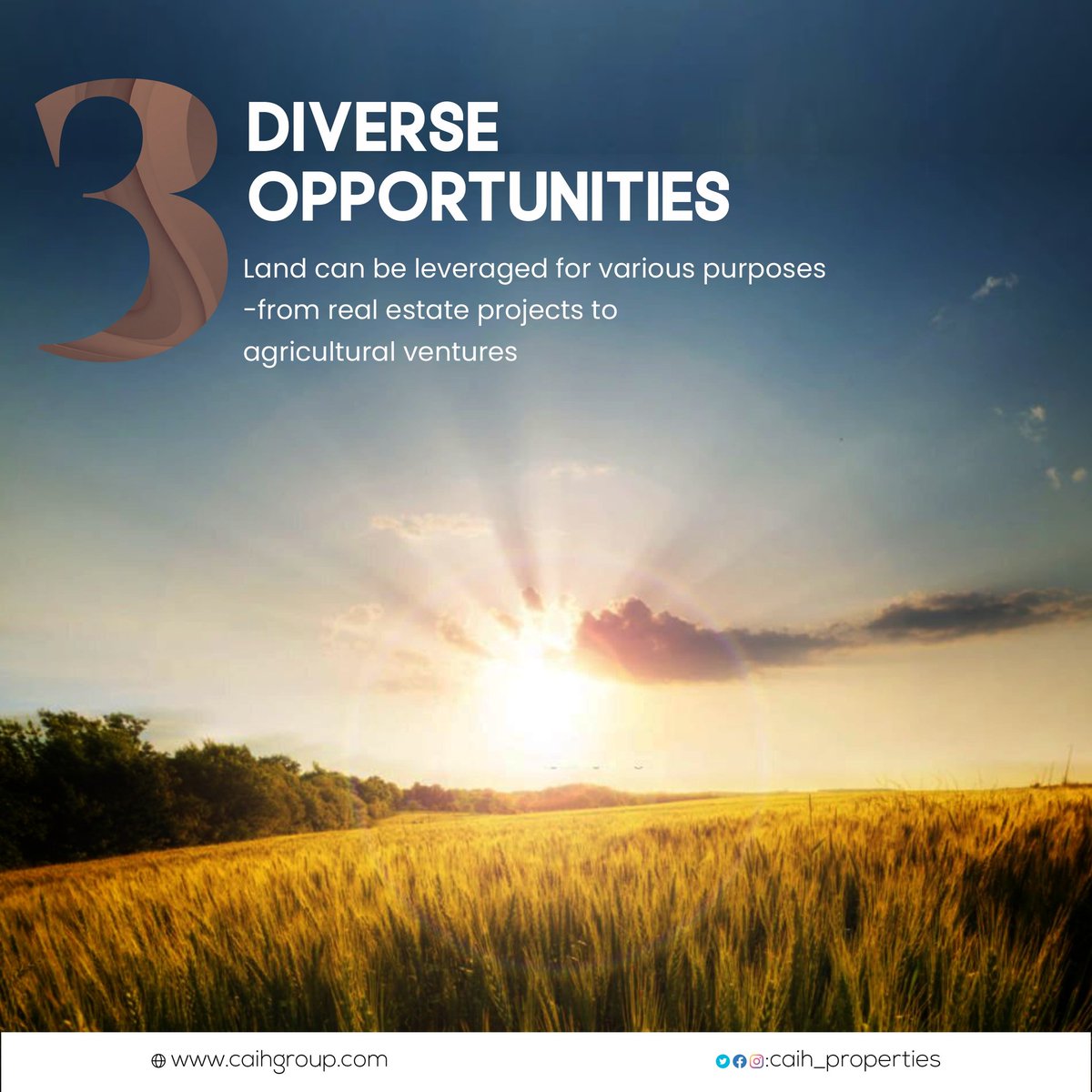 caih_properties tweet media