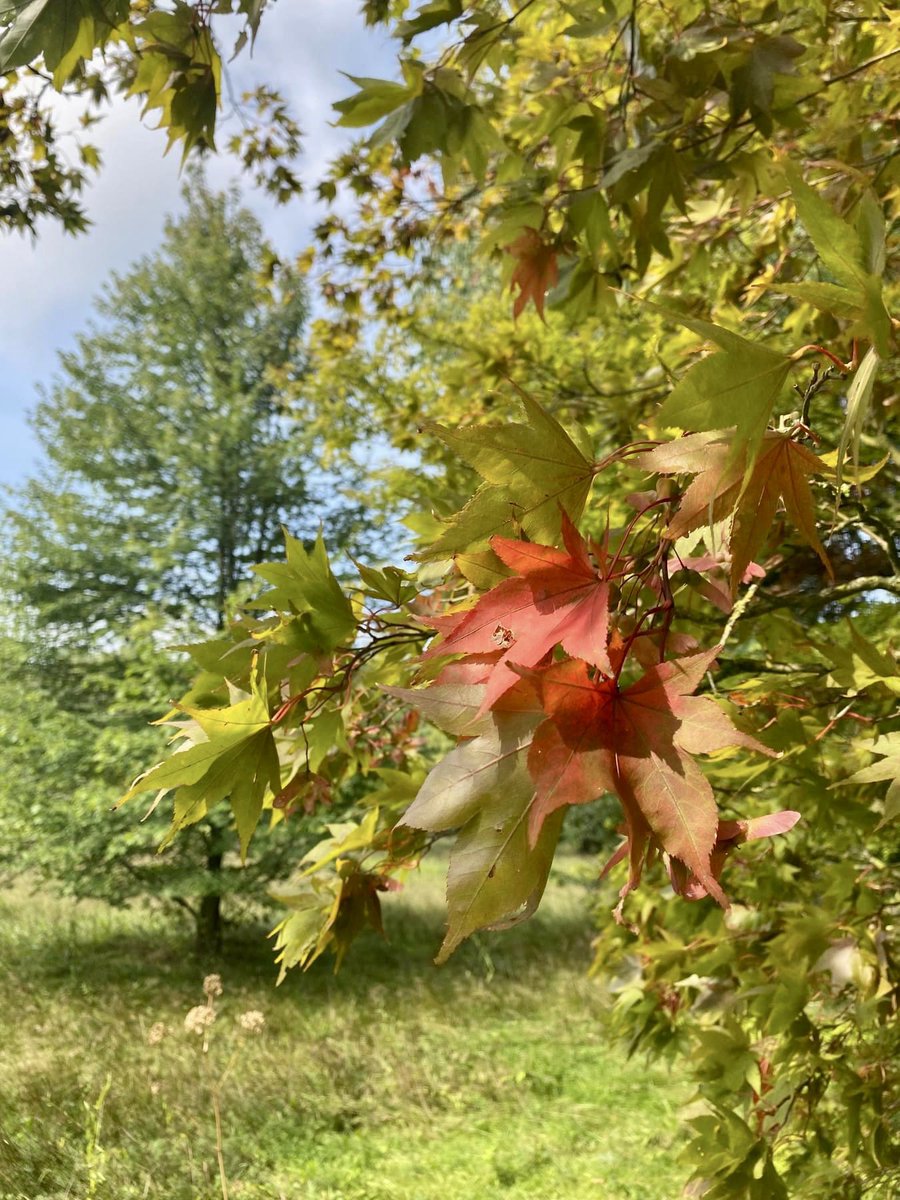 Visit De Lutte Losser tweet media